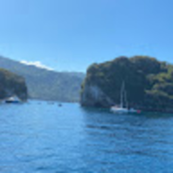 Meet your Posher, Reese - Picture 1 of 1